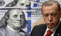 AKP'nin en çok oy aldığı iller dolar istifçisi çıktı