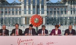Altılı masanın adayını kaç parti destekleyecek?