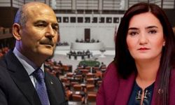 CHP'li vekil Soylu'ya sordu: AKP’nin bakanları değerlendirmiş, gece müzik yasağına devam