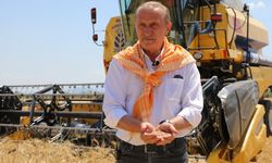 Didim Belediyesi, tarlalarında üretiyor, sofralara ulaştırıyor