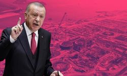 Erdoğan, Akkuyu'nun Rus genel müdürüne sinirlenmiş: Kiminle konuştuğunuzu unutmayın