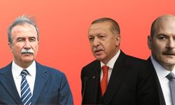Hanefi Avcı'dan Soylu'ya suç duyurusu, Erdoğan'a açık mektup