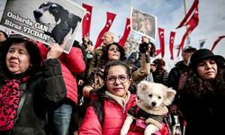 Kediye işkence eden cani 2 bin lira ile serbest kaldı