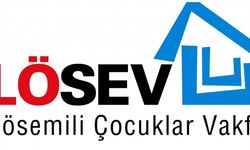 LÖSEV'den ortalığı karıştıracak rüşvet iması: Hiçbir işimize izin vermiyorlar