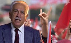 Perinçek MHP'lileri kızdıracak: Bunca yıllık 'asena' aslında neymiş...