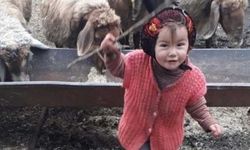 Rapor çıktı: Müslüme istismara uğradıktan sonra öldürüldü