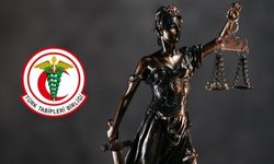 TTB 'güvenlik soruşturmasını' Danıştay'a götürdü