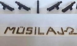20 ilde operasyon: 233 gözaltı kararı...