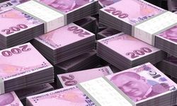 250 bin lira geri ödemesiz destek başvuruları bugün başlıyor