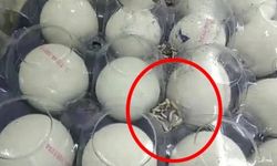 A101'de skandallar bitmiyor: Mide bulandıran görüntüler