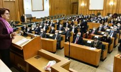 Altılı masa öncesi Akşener, Genel İdare Kurulu'nu topluyor: Gündemde hangi konular var?