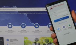 Artık e-Devlet'ten hayvan sahiplendirme yapılabilecek