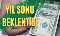 Enflasyon rakamları sonrası dolar kurunda son durum
