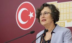 HDP'li Kerestecioğlu'ndan Fuat Oktay'a 'Süleyman Soylu' sorusu...