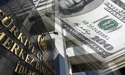Merkez Bankası Nass dedi: Dolar tarihi rekor kırdı