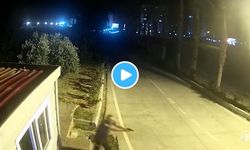 Mersin'deki saldırıda Sedat Gezer'in  teröristi etkisiz hale getirdiği o anlar ortaya çıktı