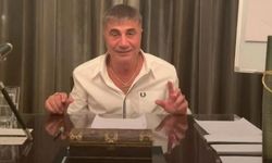 'Sedat Peker' iddiası: Erdoğan'ın bilgisi dışında olamaz