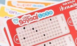 Bu ne tesadüf: Sayısal Loto'da yok artık dedirten sonuçlar