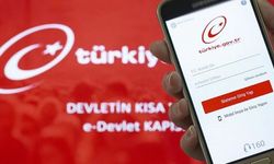 CHP'li vekilden çağrı: 2017'den beri açıklanmıyor, herkes e-Devlet'ten kontrol etsin