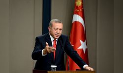 Erdoğan'a iki yeni danışman daha