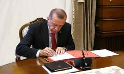 Erdoğan imzaladı: Hazine ve Maliye Bakanlığı'na kritik atamalar