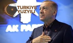 Erdoğan'ın etkinliğine katılan ve katılmayan 'muhalif' gazetecilerin ilk görüşleri