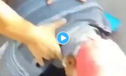 Sebze satan yaşlı adama saldıran zabıta memuru hakkında Belediye'den açıklama
