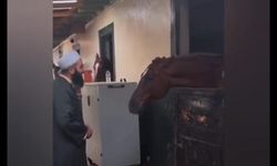 Tarikatçıdan ata karşı zikir şov