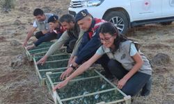 Türkiye’deki kuşları Suriye’ye kaçırmaya çalışırken yakalandı