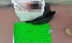 Yurtaşlar dehşet içinde kaldı: Bu görüntüler infial yarattı
