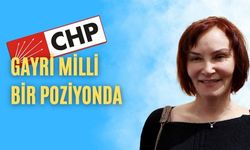 Aslı Baykal, CHP ve Millet İttifakı'na karşı açtı ağzını yumdu yüzünü...