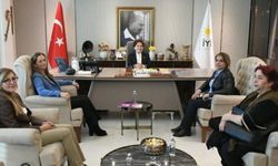 DİSK'ten Meral Akşener'e kritik ziyaret