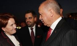 Habertürk yazarı: Erdoğan Akşener'le birlikte yol yürüyebileceklerini düşünüyor