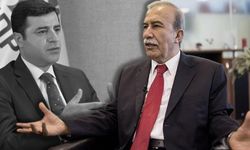 Hanefi Avcı’dan Demirtaş çıkışı: PKK’yı karşısına aldı