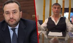İddialar araştırılmadı: Tolga Ağar'dan Sedat Peker'e 'Yeldana Kaharman' davası