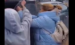 Konya’daki hayvan barınağında bir skandal daha