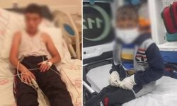 Türkiye'nin konuştuğu kuduz vakasında yeni detaylar: Babaanne, olay gününü anlattı