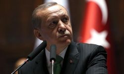 Yandaş yazar anayasa değişikliği için  Erdoğan'ın sıradaki hamlesini açıkladı