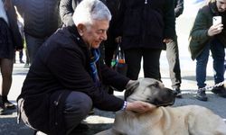 Patili dostlar yeni yıla merhaba dedi