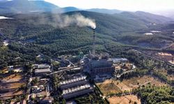 Muğla'da örgütlerinden 'termik santral' raporu: 30 bin futbol sahası büyüklüğünde orman tehlikede...