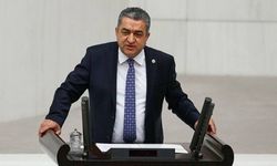 Serter'den Soylu'ya 'FETÖ' davası