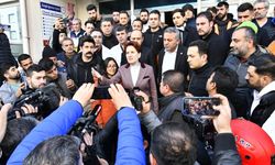 Akşener'den 'uzaktan eğitim' açıklaması