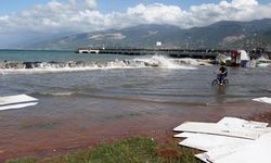 Deprem bölgesinde salgın hastalık tehdidi