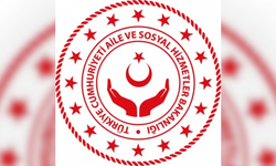 Kaç kişi 'koruyucu aile başvurusu yaptı?