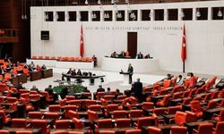 Refakatçisi olmayan çocuklar Meclis gündeminde