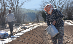 Tütünü de bitirin kurtulalım