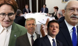 Mansur Yavaş ve Ekrem İmamoğlu Cumhurbaşkanı Yardımcısı olacak