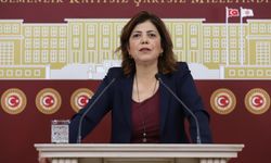 Meral Danış Beştaş: Bu geriye gidişe asla Türkiye toplumu, halkları izin vermeyecek