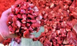 Ramazan'da kırmızı etin fiyatı ne kadar olacak?