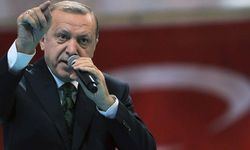 'Erdoğan, Anadolu Ajansı'na talimat verdi'